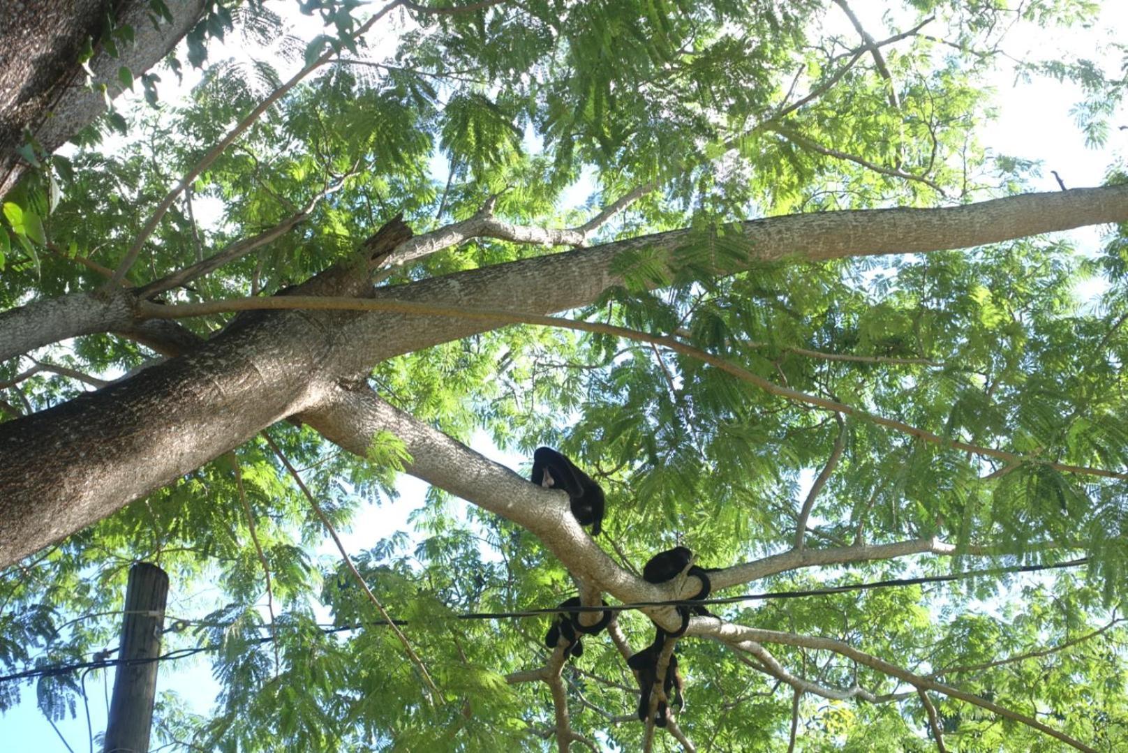 Casa Maya Eco Lodge San Juan Del Sur Playa Remanso Zewnętrze zdjęcie